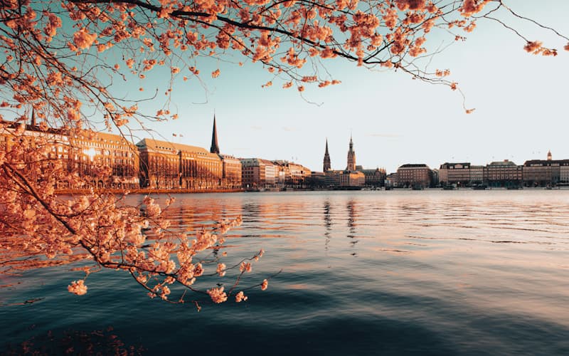  Premium Seereisen ab Hamburg