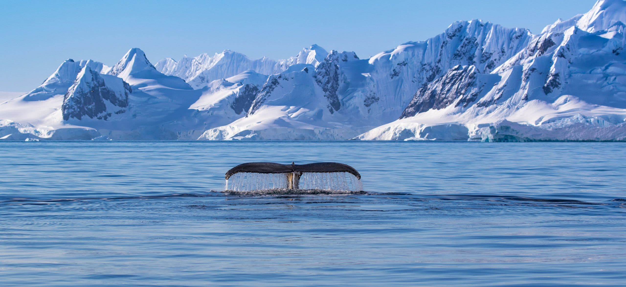 Luxus Kreuzfahrten online buchen