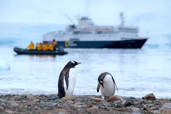 Wie funktionieren Expeditionskreuzfahrten auf kleinen Schiffen